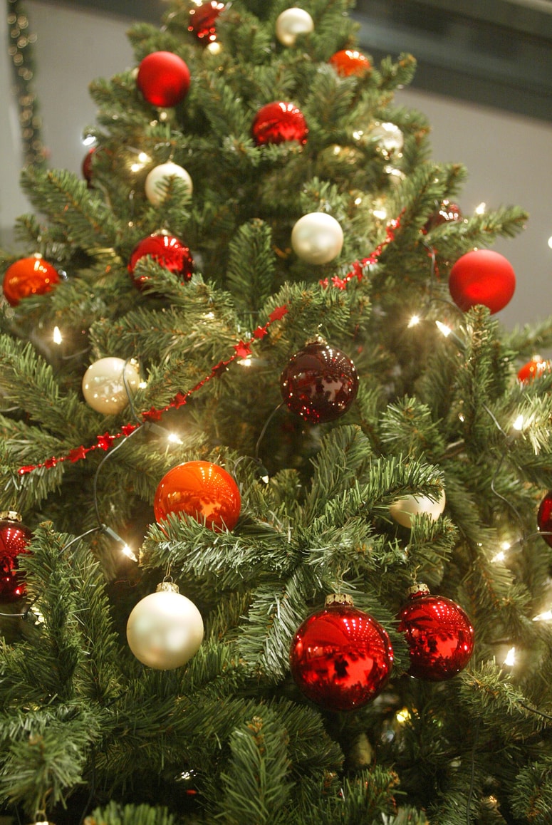 Božič bi brez drevesca bil prazen. 