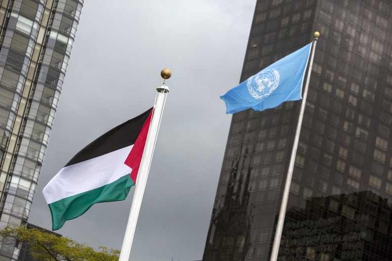 Državo Palestino je do zdaj priznalo 136 držav sveta, zadnja EU članica je bila oktobra 2014 Švedska. 