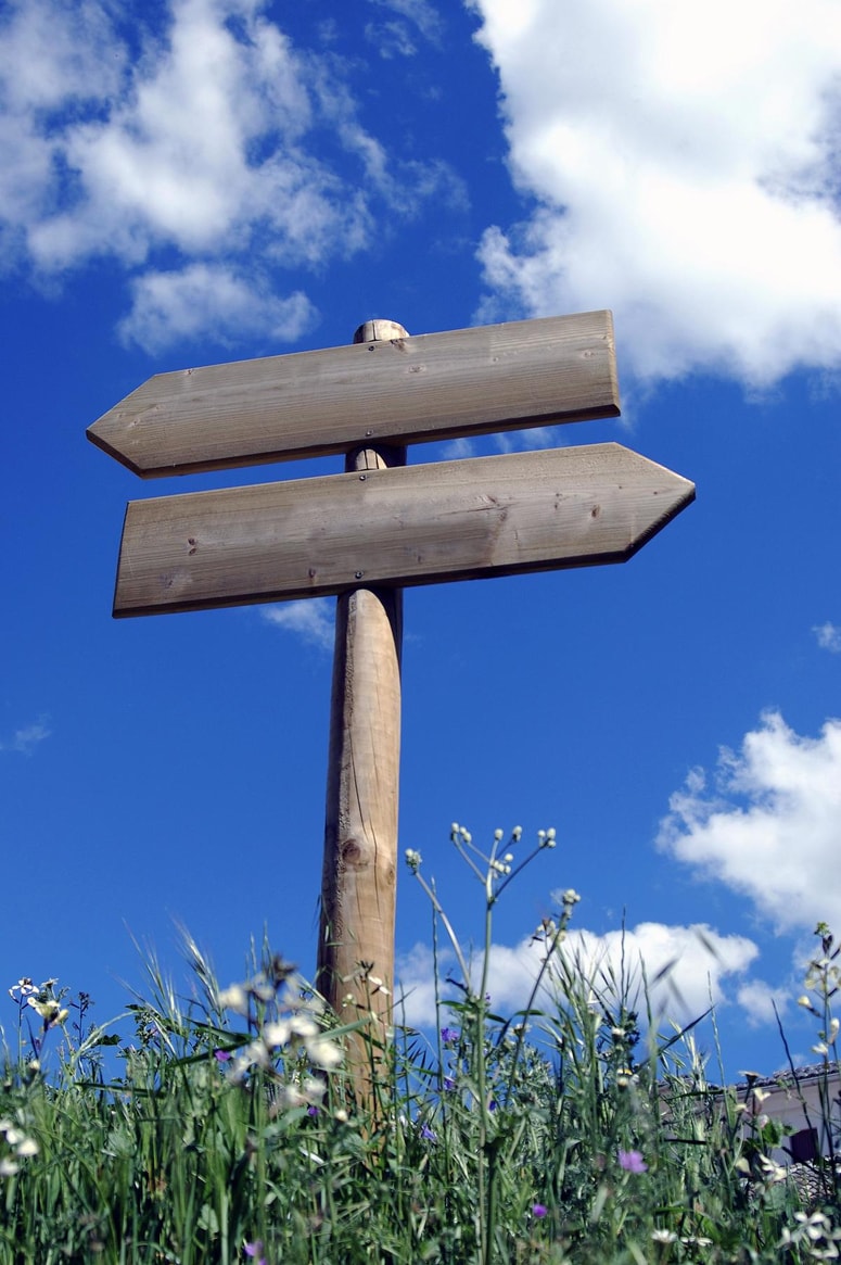 Glavna fotografija članka:Zaustaviti stekle pse desnice