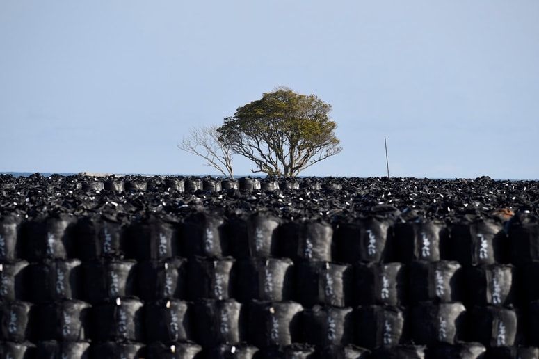 Glavna fotografija članka:Življenje v vrečki