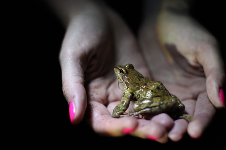 Hras_e - Res_evanje z_ab prostovoljci drus_tvo z_abica z_abe cesta res_evanje fotoreportaz_a FOTO: Tit Kos_ir 