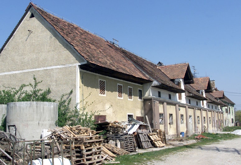 Miklavški dvorec je kljub pozneje zgrajenemu dravskemu kanalu za HE Zlatoličje ohranil poudarjeno vlogo na začetku starega dela Miklavža. 