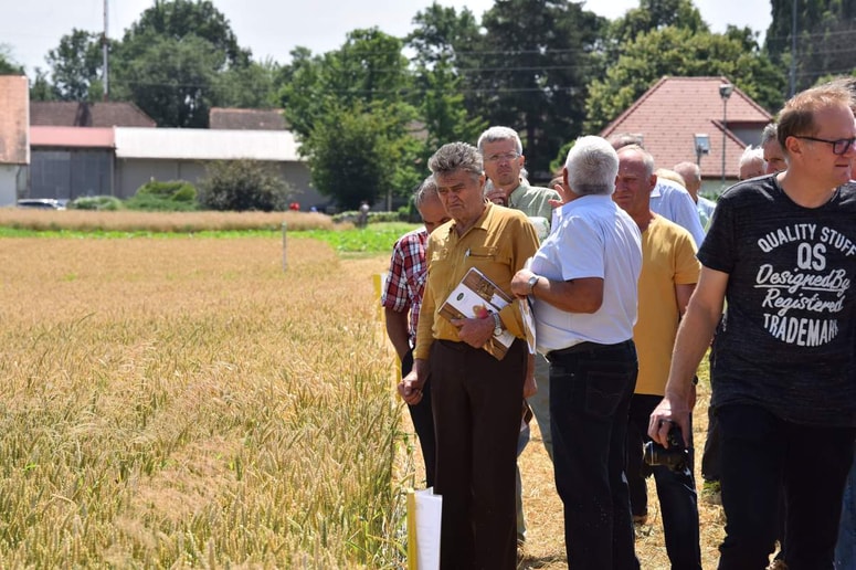 Kmetje so bili na ogledu poskusnih posevkov nekoliko skeptični glede kakovosti letošnjega pridelka. 