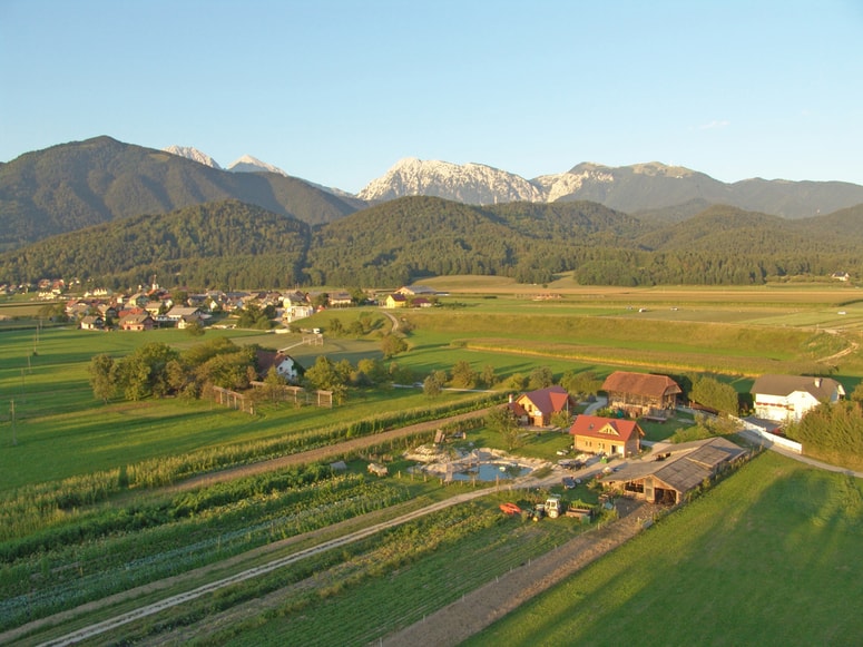Površina kmetijskih zemljišč, ki so jih uporabljali ekološki kmetje, je bila lani za enajst odstotkov večja kot leto prej. 