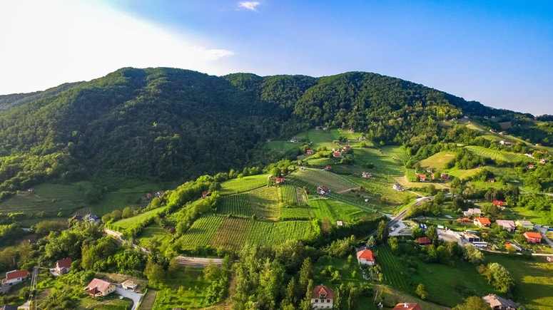Zagorje, vinogradi