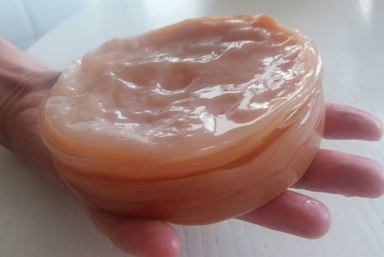 Bakterije in kvasovke ustvarijo zdravilno razstrupljevalno pijačo.