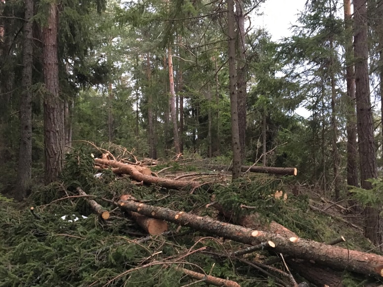 Fotografija je simbolična. 