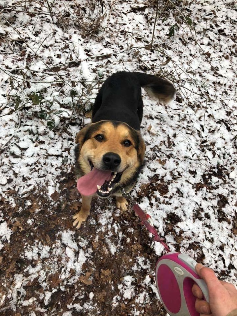 Mako išče aktivne lastnike.