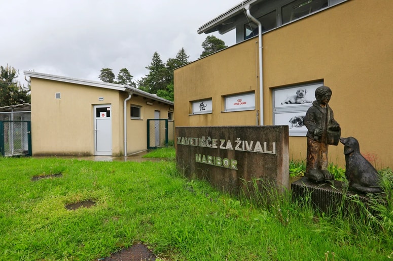 Ker so s prostori zavetišča že vse od otvoritve leta 2009 stalni problemi, v holdingu razmišljajo celo o gradnji novega. 