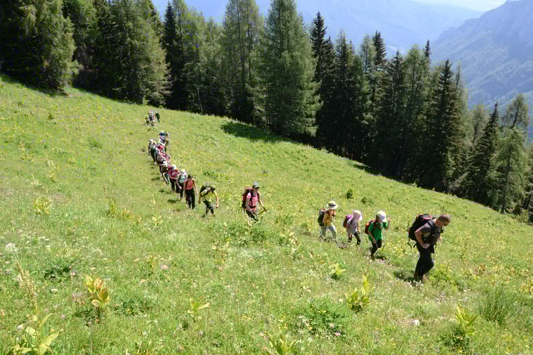 V PD Fram vabijo na planinski tabor na Soriško planino.
