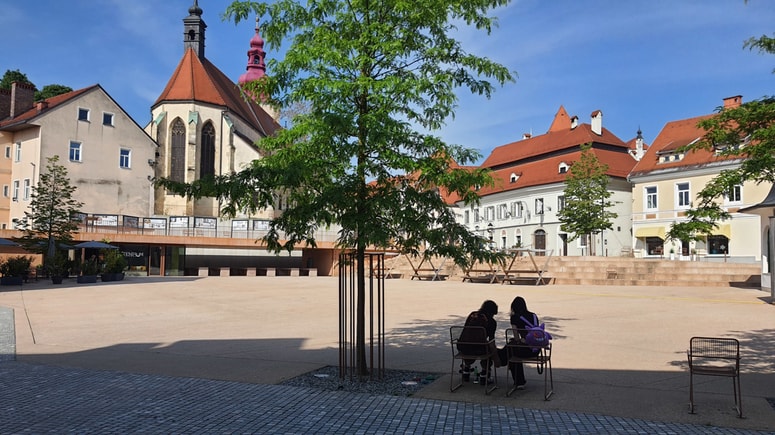 Na Ptuju so javna stranišča na treh lokacijah -  na Mestni tržnici, ob avtobusni postaji in na Zadružnem trgu ob pešmostu na levem bregu Drave. 