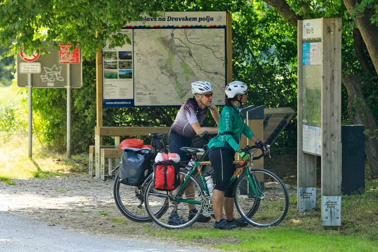 Dravsko kolesarsko pot vsako leto obišče več kolesarjev