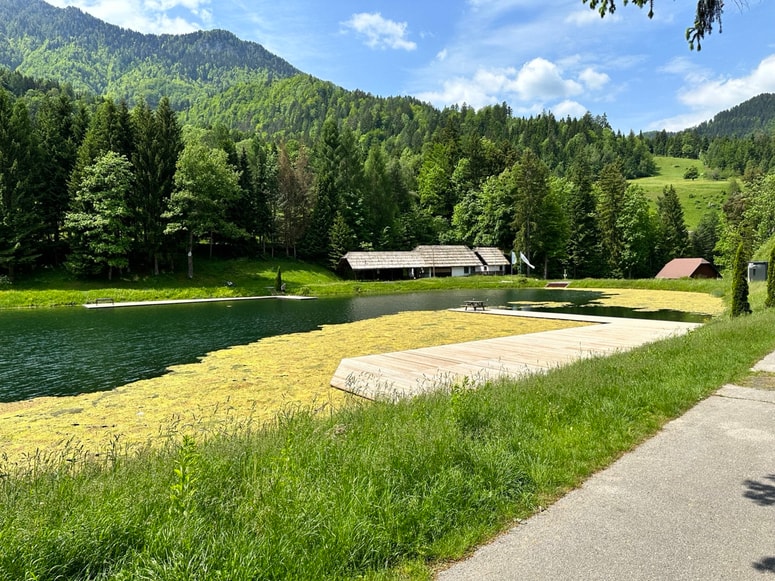 Glavna fotografija članka:Propadajoče Ivarčko jezero v lovu na novega najemnika: Lastniki ga ponujajo ravenski občini za evro na mesec