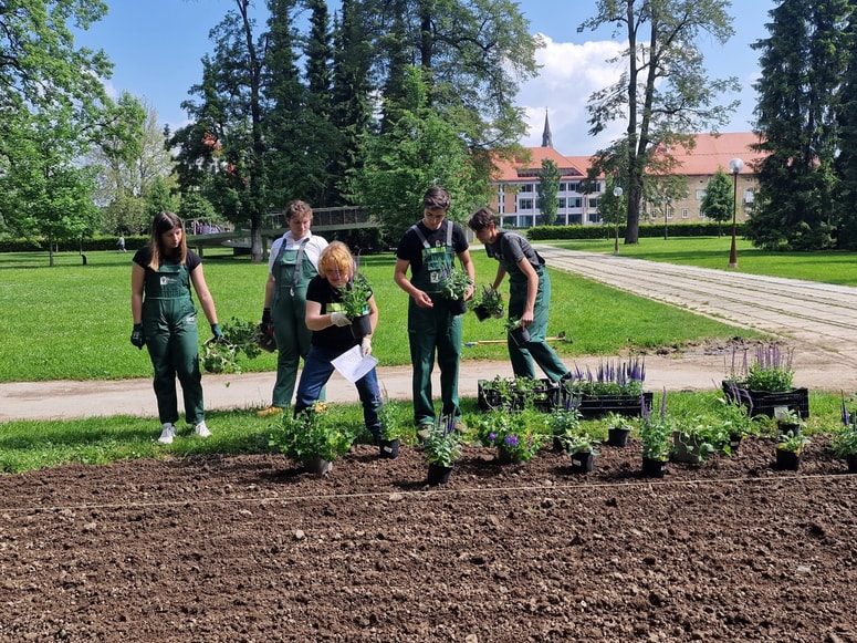 Zasadili so modro krvomočnico, salvio, veroniko in rudbekijo.
 