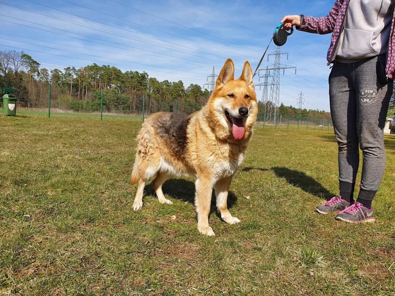 Biba je že nekoliko v letih, a še živahna.