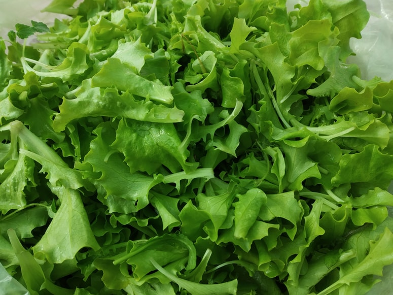 Mlada berivka je že na prodajnih mizah na Vodnikovem trgu. 