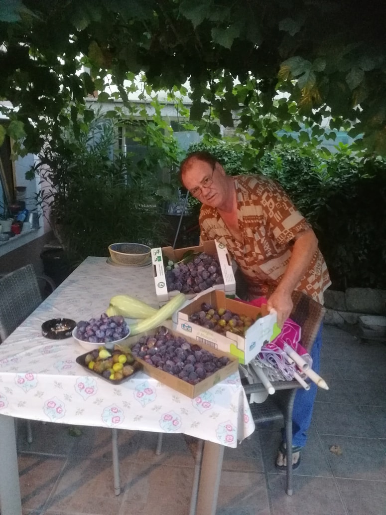Franjo Frančič: "Fige so letos dobro obrodile."
