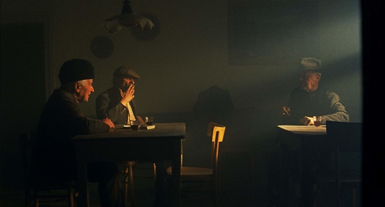 Zgodbe iz kostanjevih gozdov