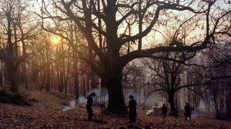 Letos je s kar enajstimi nagradami slavil film Zgodbe iz kostanjevih gozdov Gregorja Božiča. 