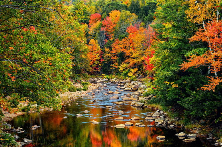 Glavna fotografija članka:Pogled iz penziona: Barvni spački okoli nas