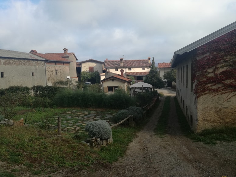 Idilična vasica Pedrovo na Krasu je vnovič zaživela pred dvema desetletjema.
