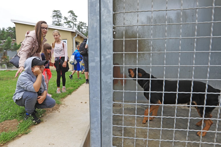 V zavetišču pozivajo k resnemu premisleku preden si posameznik omisli žival. 