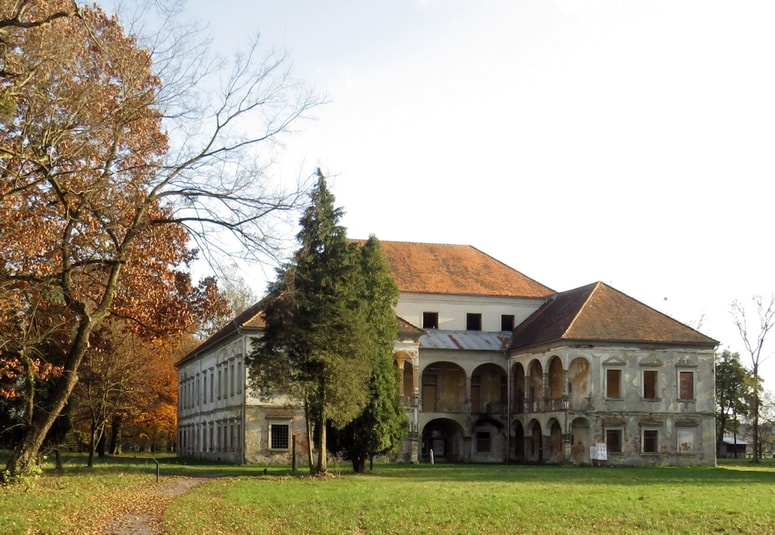 Kakšna prihodnost se obeta gradu Turnišče? 