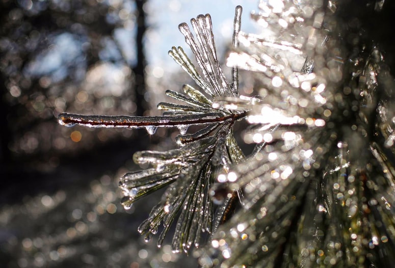 Zima je lepa, sploh če pol ure na dan preživimo v naravi.