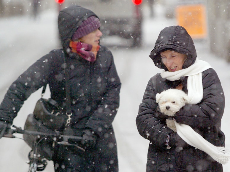 Glavna fotografija članka:Pripravite toplejša oblačila: Prihajajo padavine, tudi sneg, sunki vetra do 90 kilometrov na uro
