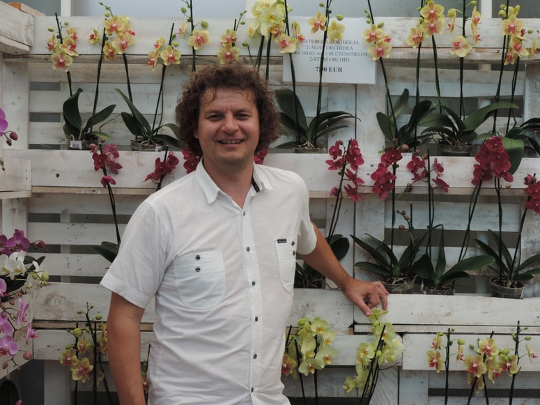 "Je zaradi paprike, ki je zrasla v lončku, rastlinjak stavba? Če pa to isto papriko presadimo v zemljo, bo ta isti rastlinjak postal kmetijski oziroma enostavni objekt," na nove nesmisle pri razvrščanju rastlinjakov opozarja Roman Ferenčak. 