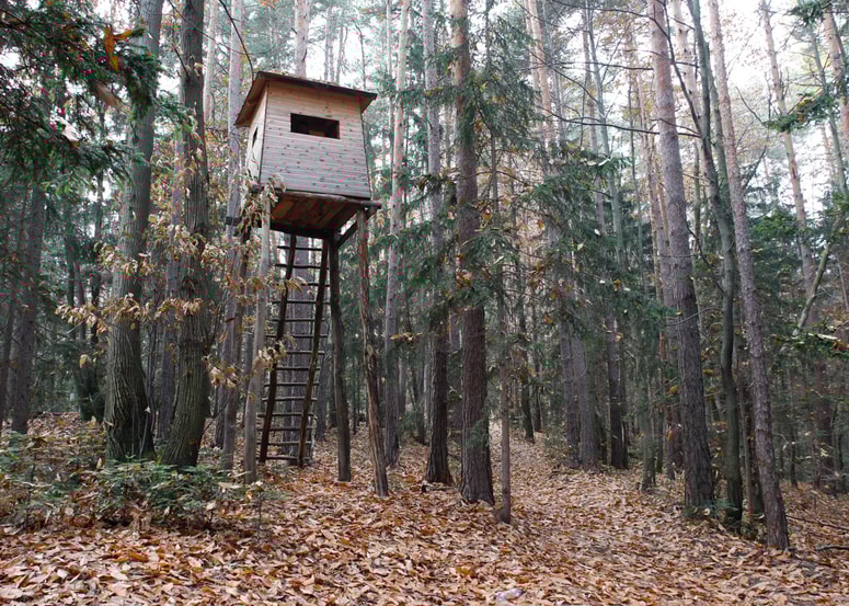 20. november 2012, Gaj - Lovska preza, Kangler, Gaj - 