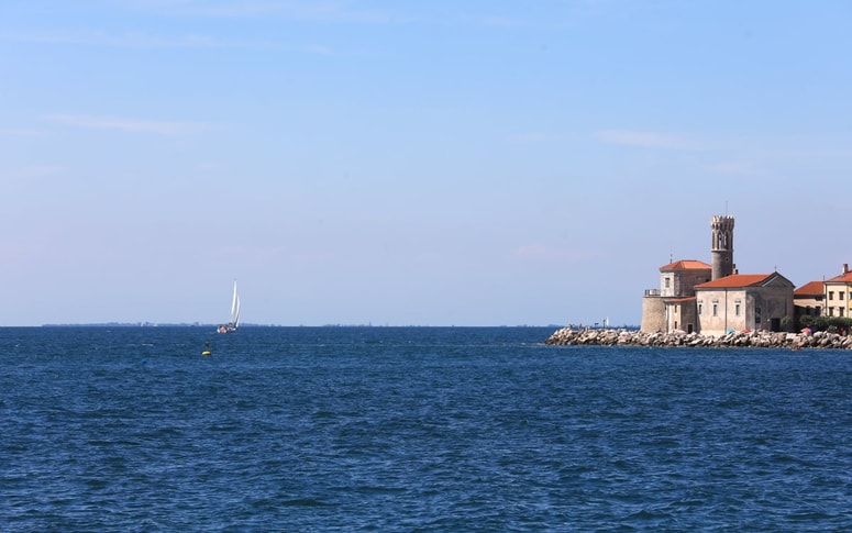 Morska biološka postaja deluje v okviru Nacionalnega inštituta za biologijo.