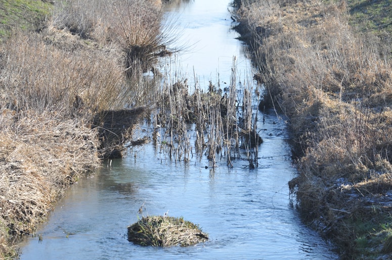 Preseganje živega srebra v ribah so ugotovili na celotnem območju Slovenije. 