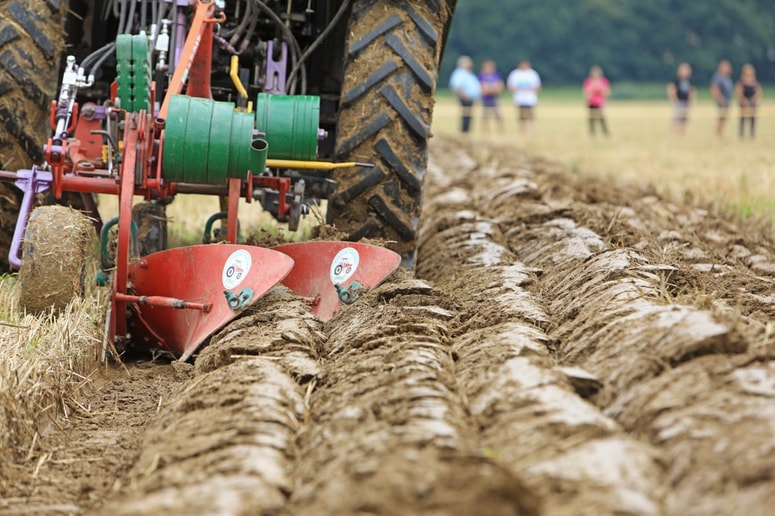 Pričakovanja od novega kmetijskega ministra so velika, dolgoročne strategije kmetijstva ni, teren pa ne skriva realnih stisk kmetov.
 