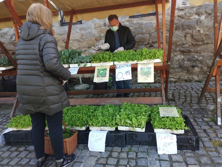 Boris Špan ima veliko izkušenj s pridelavo sadik zelenjave in drugih vrtnin, saj se v družini s tem ukvarjajo že 20 let. 
