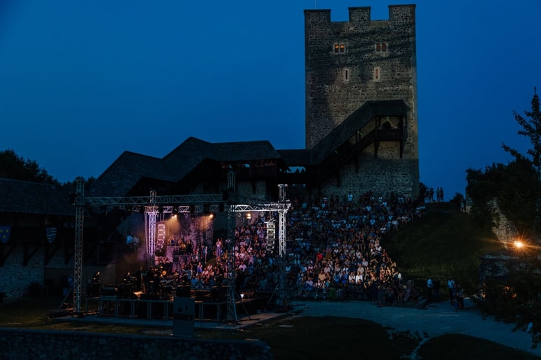 V drugem poskusu jim je uspelo izpeljati koncert Vlada Kreslina z Malimi bogovi. 