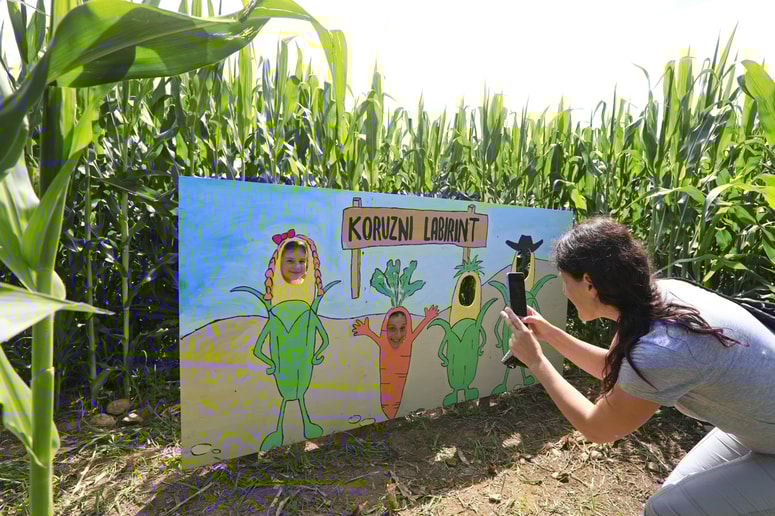 Koruzni labirint privablja male in velike raziskovalce.