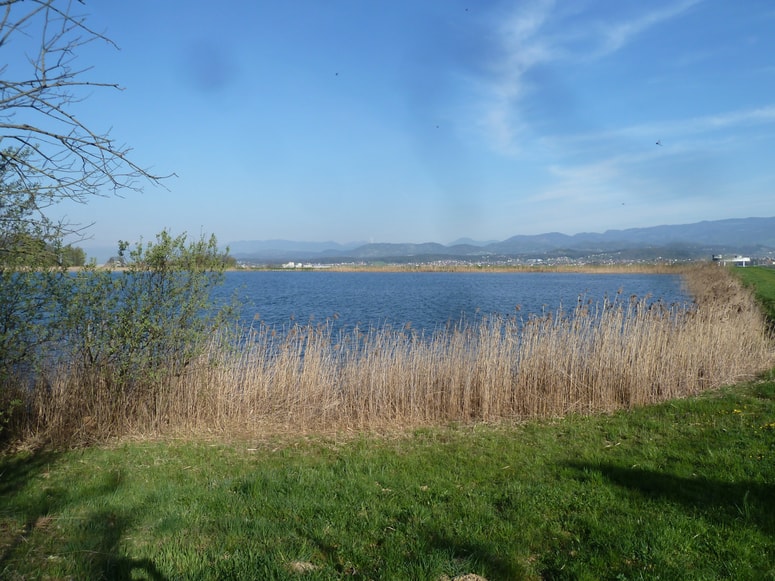 Deponija sadre Bukovžlak 