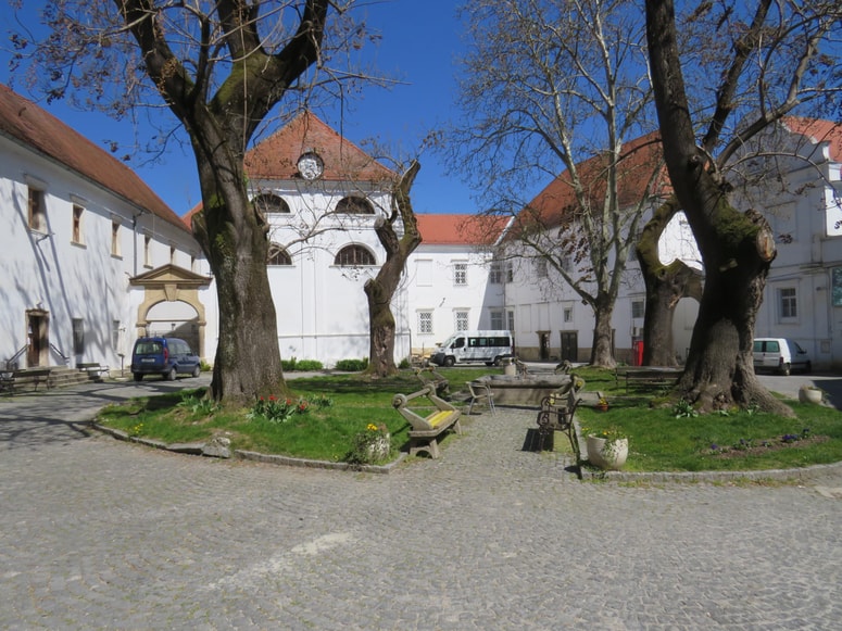 Glavna fotografija članka:Kadrovske težave v domovih za starejše rešujejo z zaposlitvami in študenti medicine