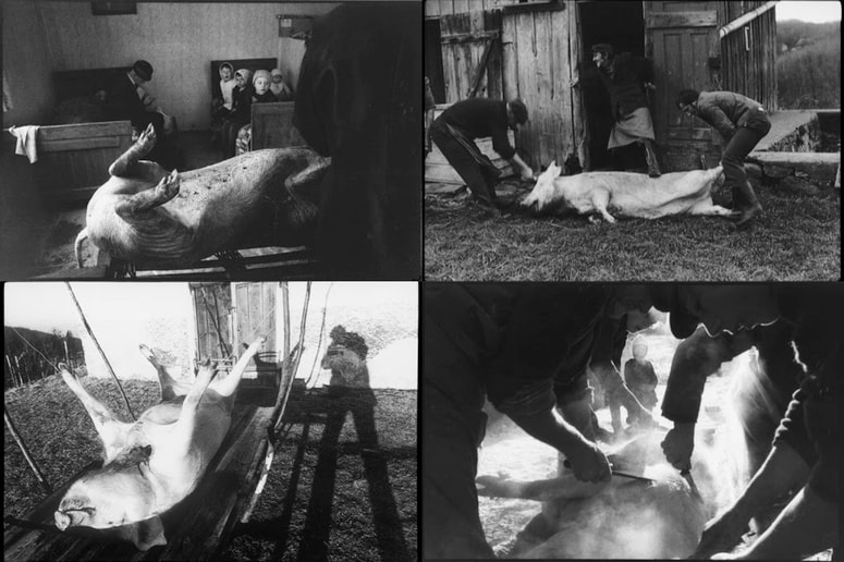 Stojan Kerbler, fotografije iz cikla Koline