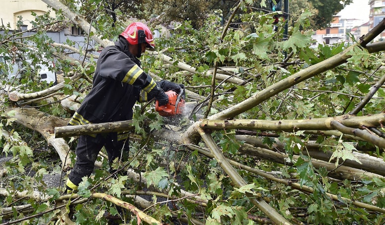 Glavna fotografija članka:V neurjih v Italiji smrtne žrtve, v Toskani sestri, stari tri in 14 let, umrli v šotoru, na katerega je padlo drevo