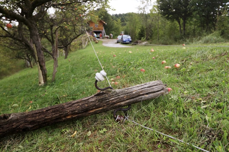 Glavna fotografija članka:Elektro Maribor: Na nekaterih območjih Pohorja oskrbe z elektriko danes še ne bo mogoče zagotoviti