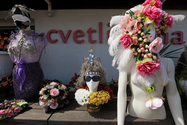 Glavna fotografija članka:Prva štipendija Cvetličarne Aralija: Kako se prijaviti in do kdaj?