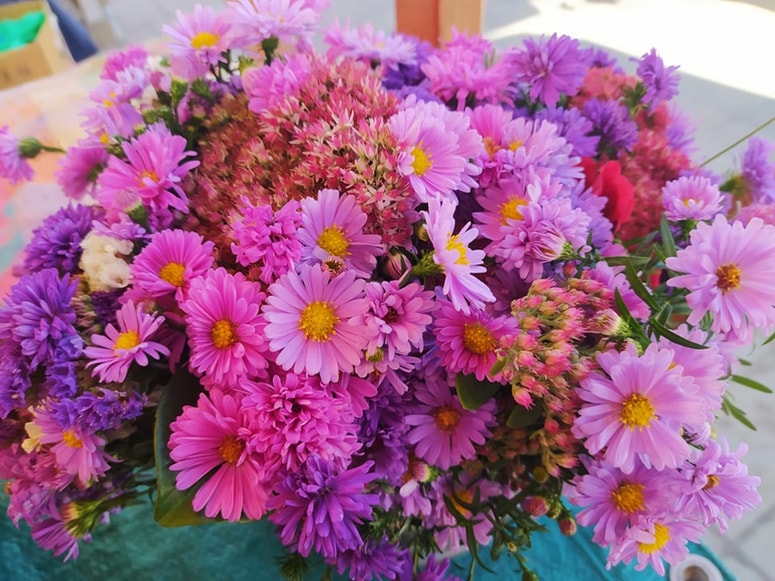 Jeseni pogled na cvetlično gredo razveseljujejo astre, ki jih obstaja skoraj 200 različnih vrst, tudi na tržnici jih je veliko. Od vijoličastih, lila do belih, od enojnih do vrstnatih. 