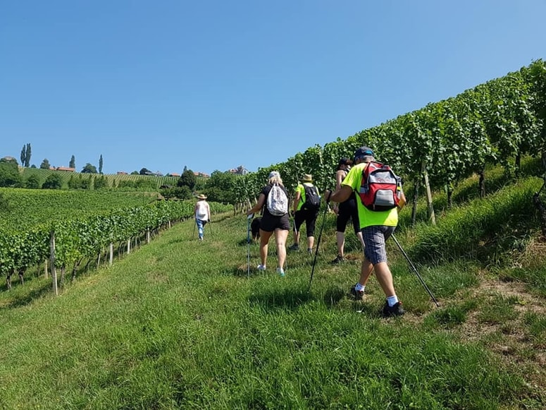 Glavna fotografija članka:Svečinski Vinotour praznuje 15-letnico. Kaj se bo dogajalo?