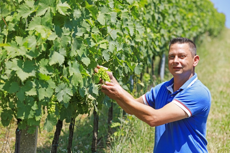Matjaž Mak, tehnolog pri Vinagu