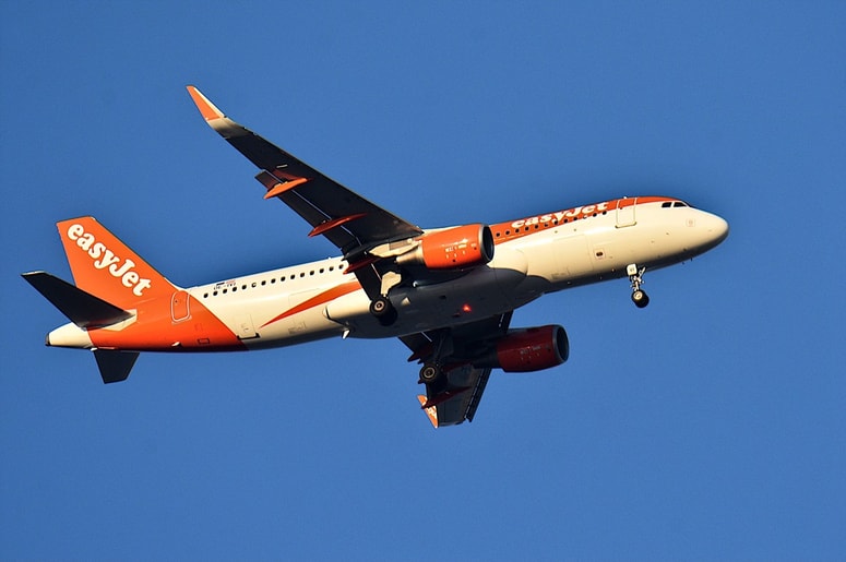 Pilota so po prijeti prijavi suspendirali.