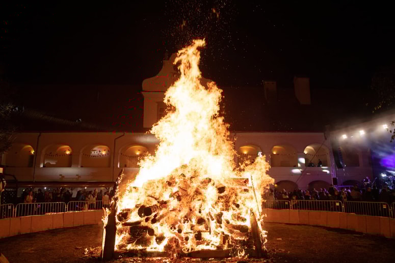 Glavna fotografija članka:RIS Dvorec Rakičan: Revizija slekla direktorja Roberta Celca