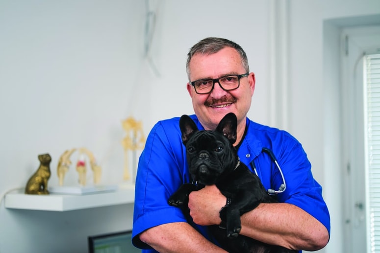 Glavna fotografija članka:Težave s sklepi pri psih so bile v preteklosti velik izziv