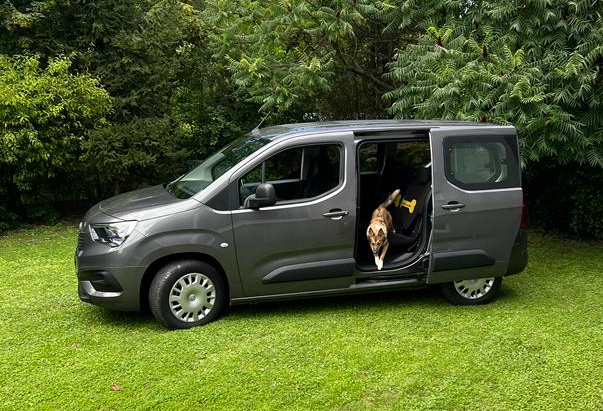 Glavna fotografija članka:Poletje v avtu, zunaj pa sneg ‒ nočna mora za pse